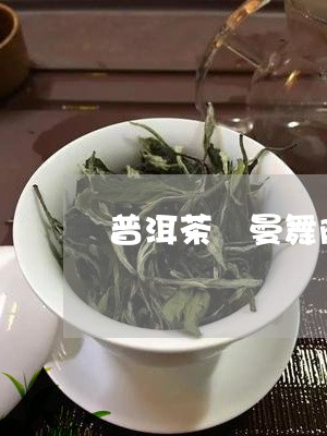 普洱茶 曼舞陈香/2023041124137